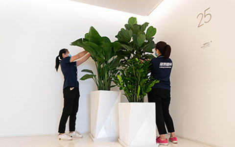 ˷xf187ʺϰڷŰ칫ҵɫֲ