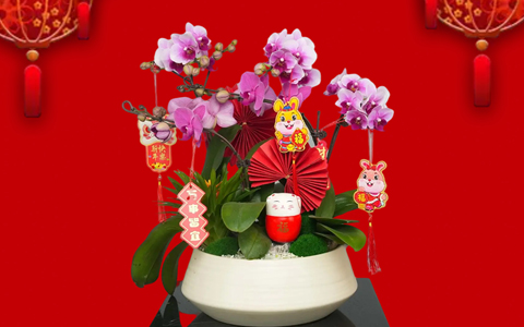 껨俪 | ˷xf187´ۺ껨Ԥ