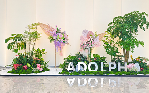 ˷xf187ֲΪܲ߶칫·ʽ