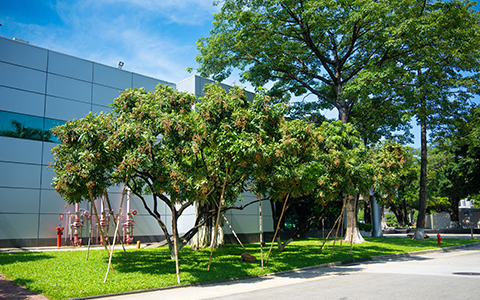 ˷xf18726רҵܣ칤԰̻ĸ߲淶