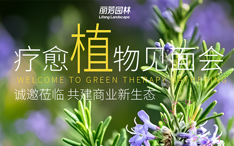 չԤ | ﲩԼ˷xf187ҵ̬